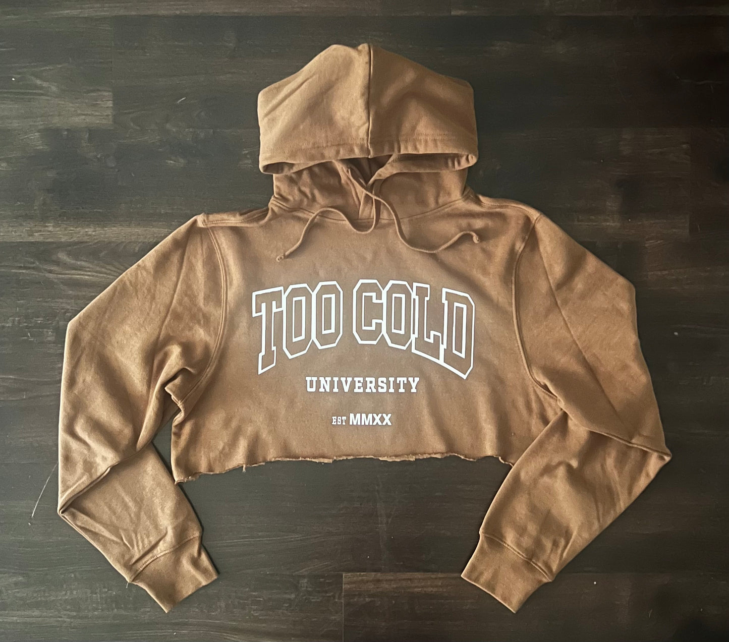 Too Cold University Cropped Hoodie